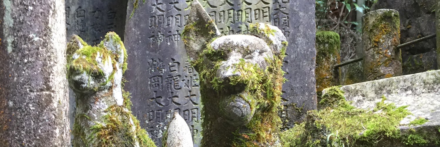 YennerCT's profile banner image