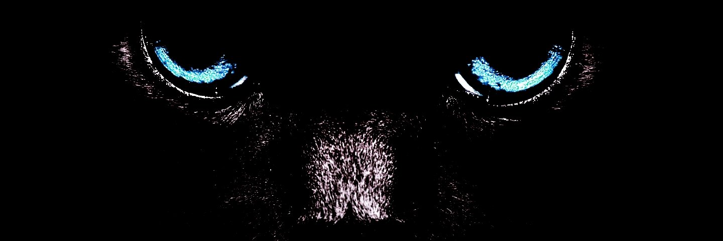 Savromın banner