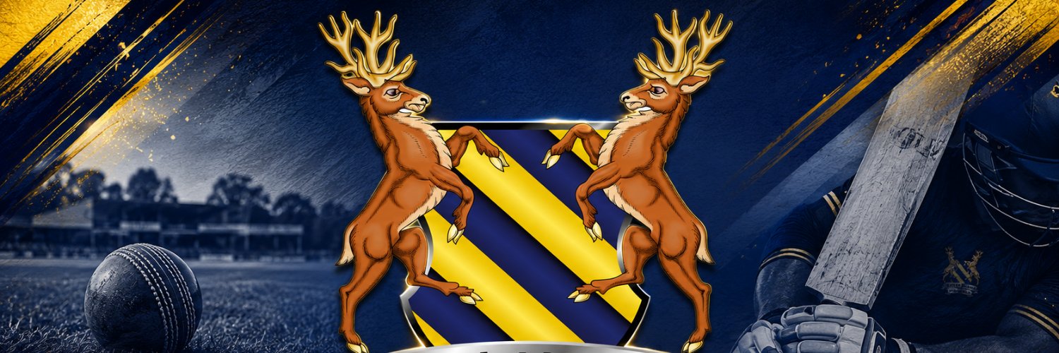 HunsletNelsonCC's profile banner image