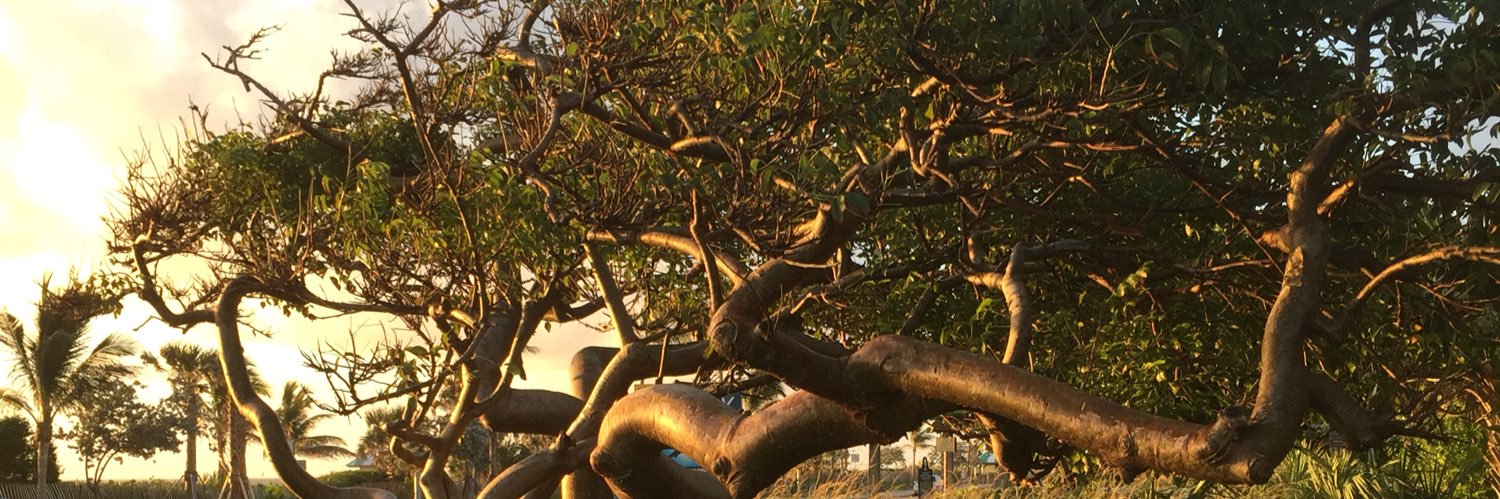 chanachabad's profile banner image
