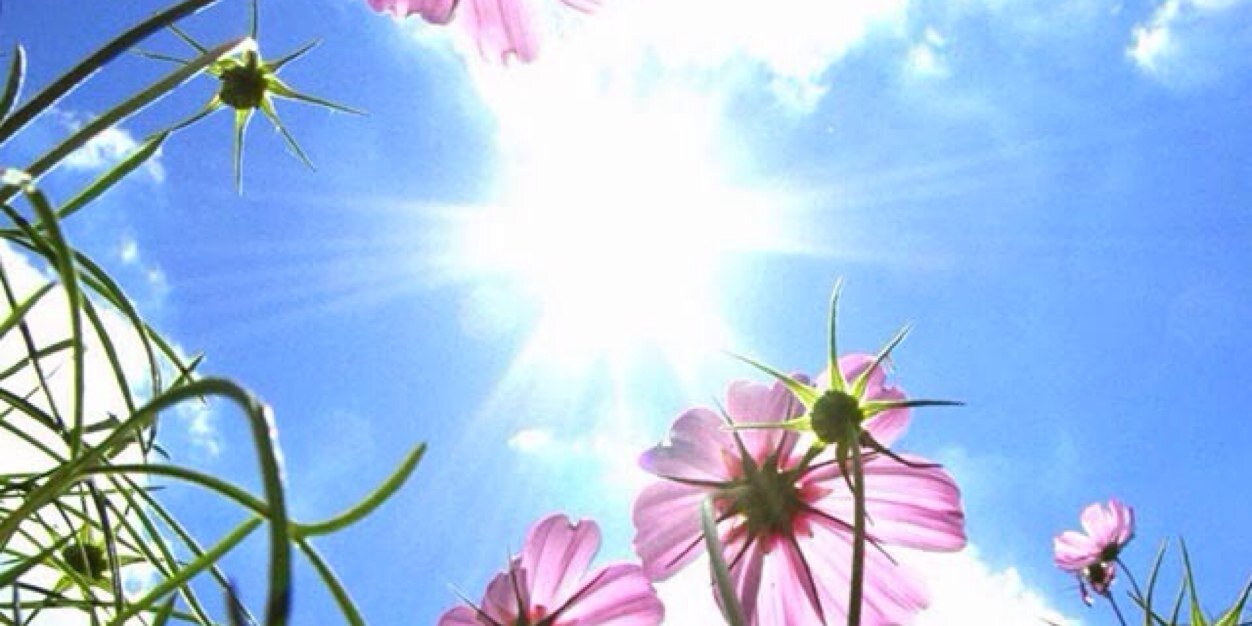 Davis Mitchell ⚛️🥷 banner