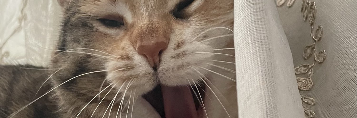Caffeinatedwry's profile banner image