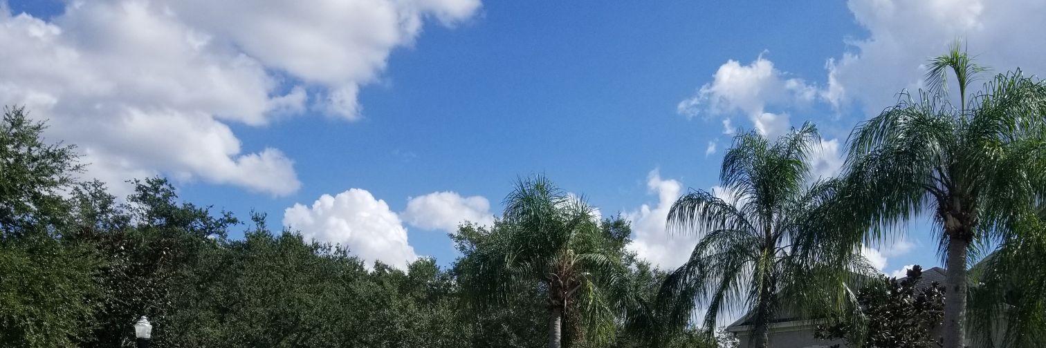 KLS71's profile banner image