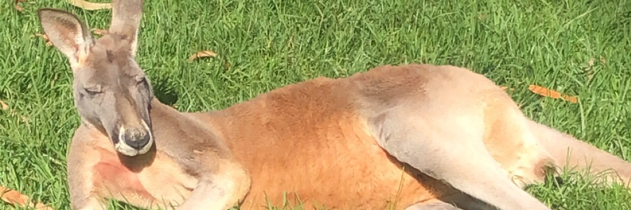 VinceLegrd's profile banner image