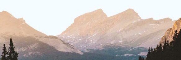 wild child banner