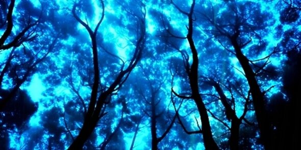 iloveIarry's profile banner image