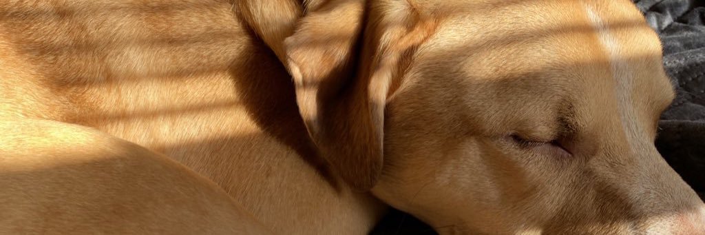 simbaasaaid's profile banner image