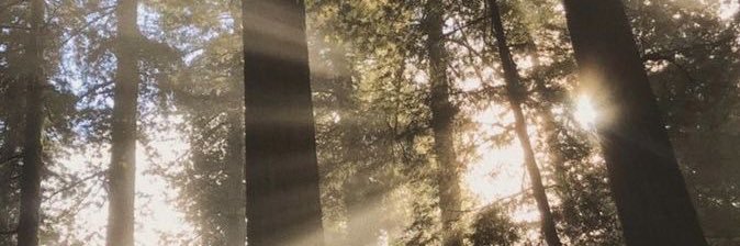Safiyah_bj's profile banner image