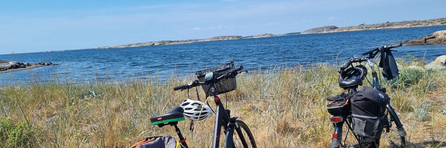 Bernt D Hagtvedt banner