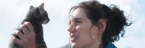 waiting on bzzzcon banner