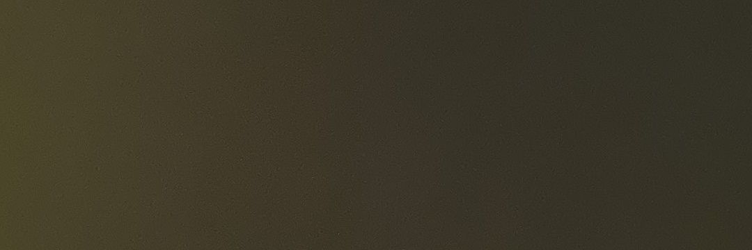 dan leo banner
