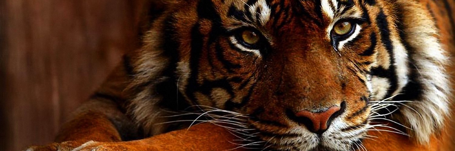 Embyrshard's profile banner image