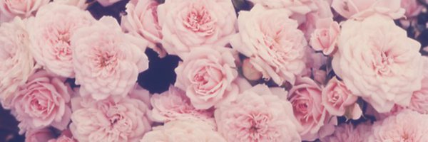 KayceeJaeger Profile Banner