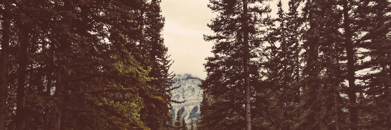 colleenrite's profile banner image