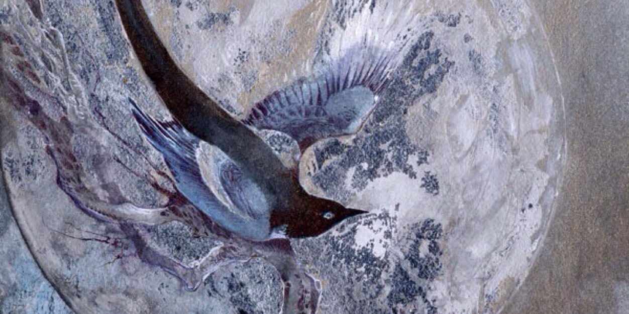 World Fight RP banner