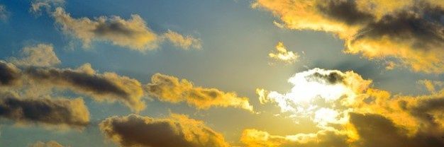 debbyarciniegas's profile banner image