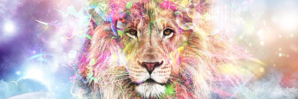 mleon412 Profile Banner