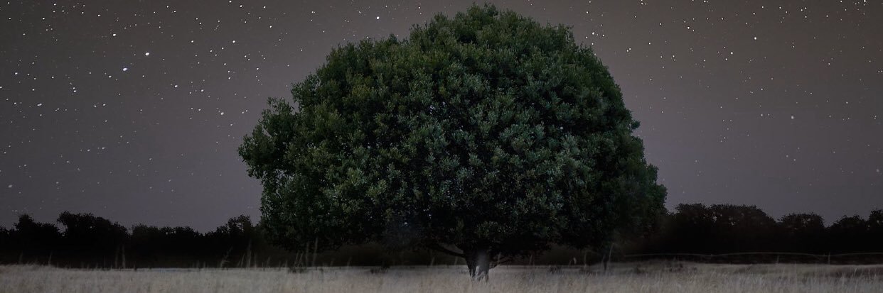duhdanz's profile banner image