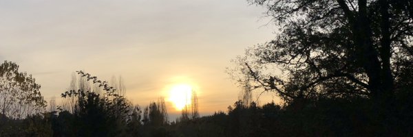 kevinestebancg Profile Banner