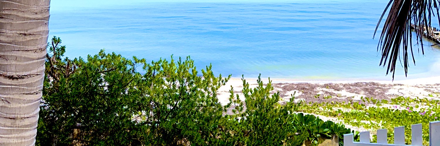 majogarciae's profile banner image
