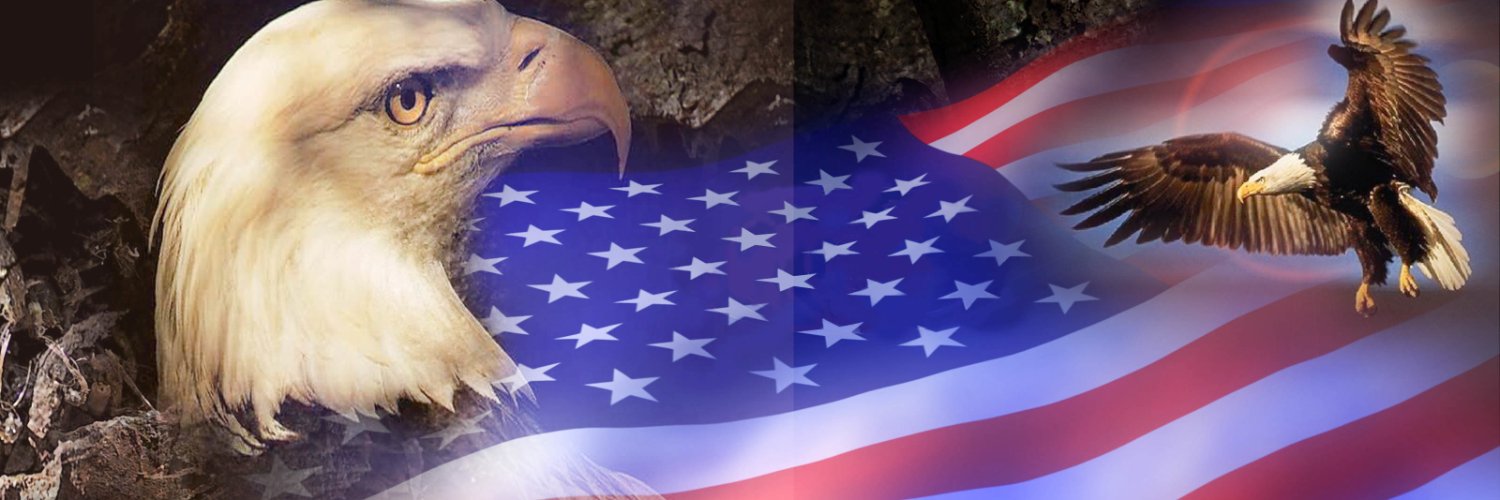 DRippstein's profile banner image