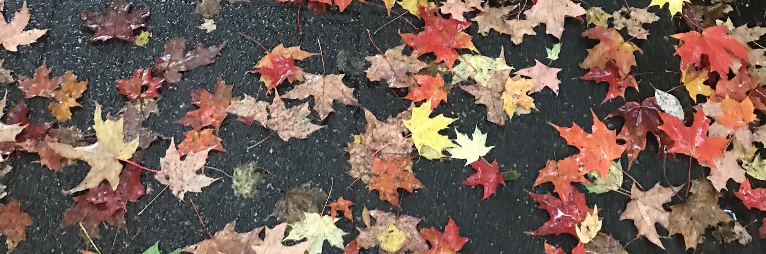 SlevinAm's profile banner image