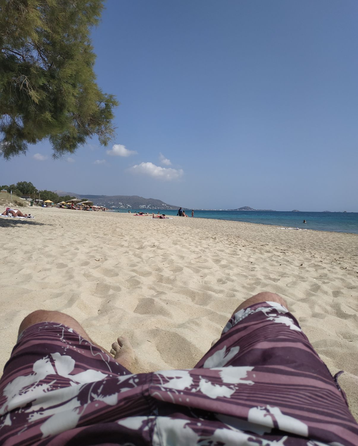 Socrates Drunk the Conium ♈☘️🇬🇷 banner