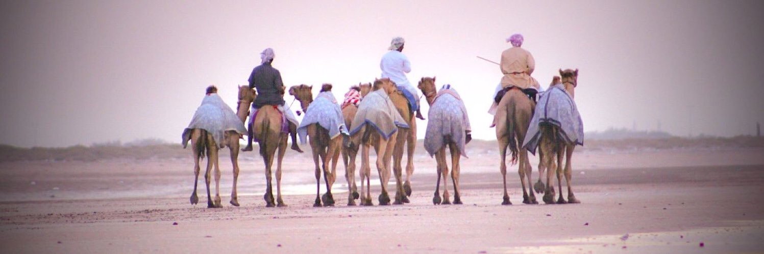 Omar_AlBardan's profile banner image