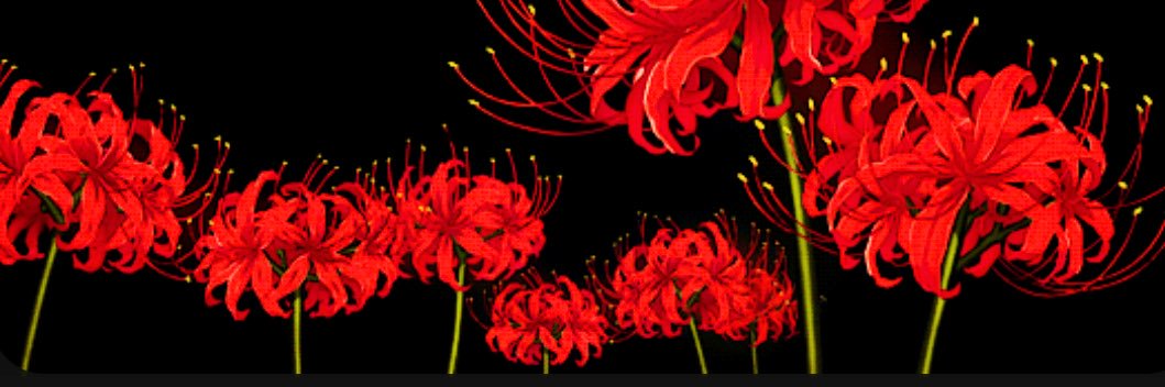 hannahnhowell's profile banner image