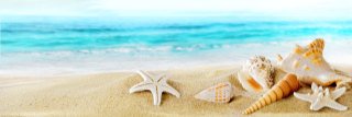 anysamarissa's profile banner image