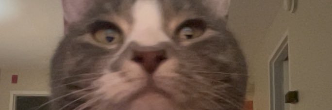 CKarels22's profile banner image