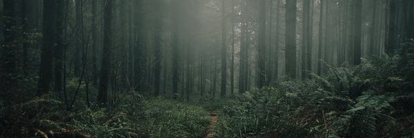 prol_x Profile Banner