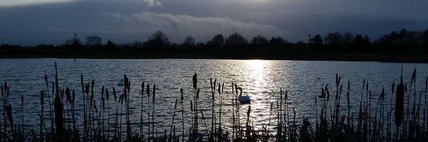 Julie3Dharris Profile Banner