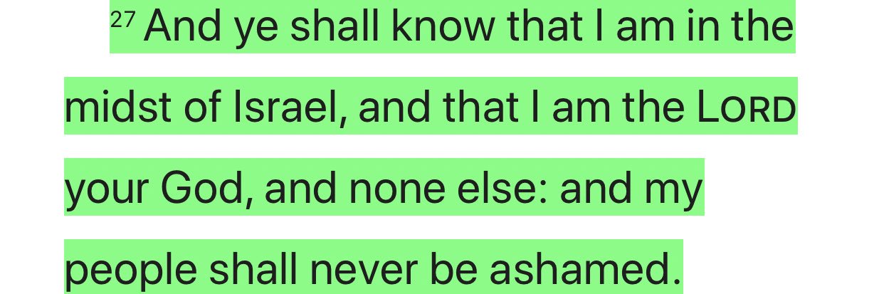 Israelite indeed banner