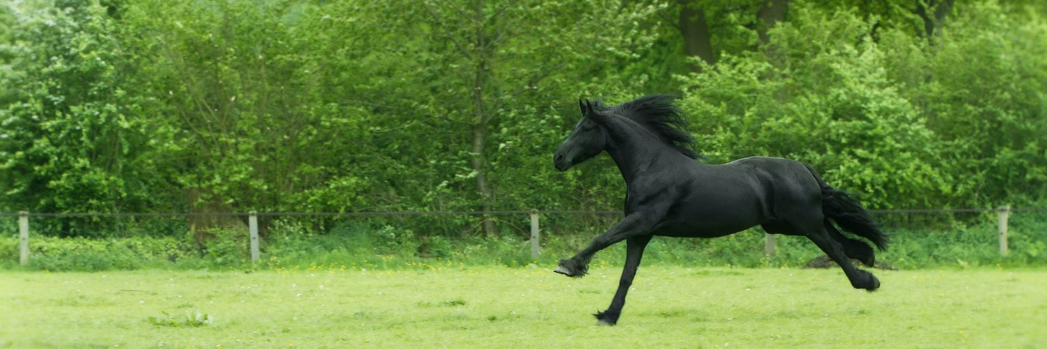 Akeosobj's profile banner image