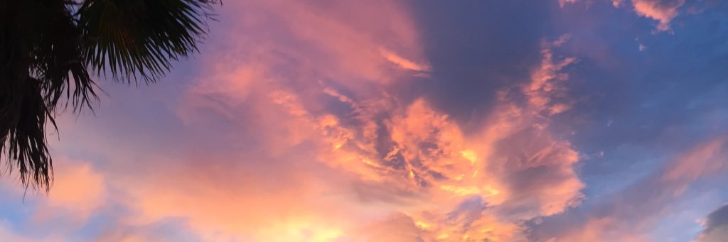 taya_heaps's profile banner image