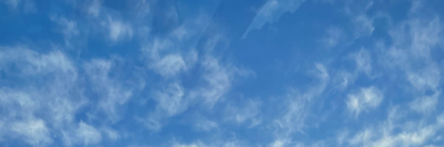 _fellinesca's profile banner image