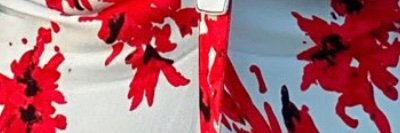 DartfulCodger 🇺🇸 banner