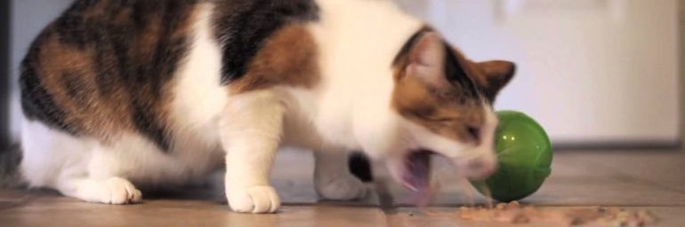 michaelajaneee's profile banner image