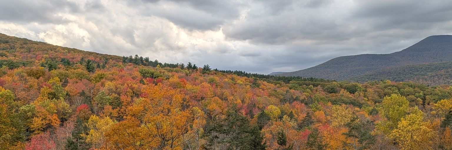 Frank Fumarola banner