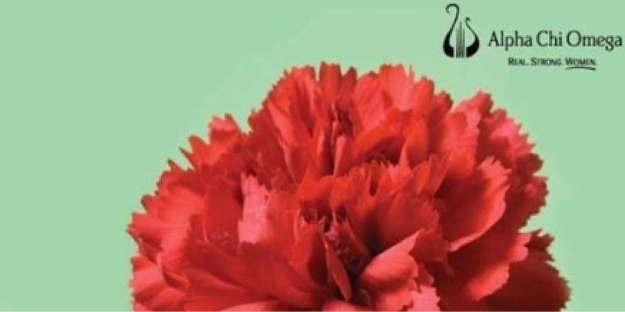 AXOforlife's profile banner image