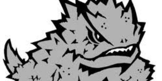 TCUScholarship's profile banner image
