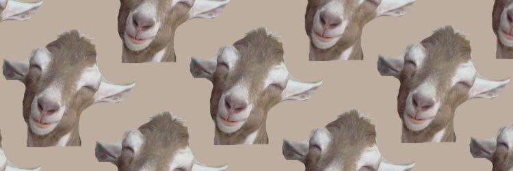 GabeDarragh's profile banner image