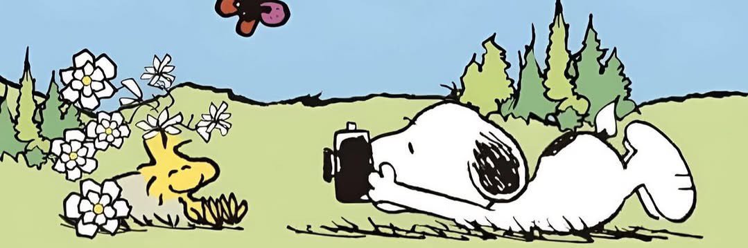 Will_GR_'s profile banner image