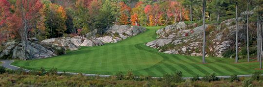 Dan Arrowsmith banner