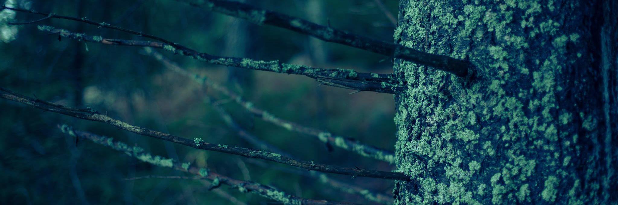 norrdamusic's profile banner image