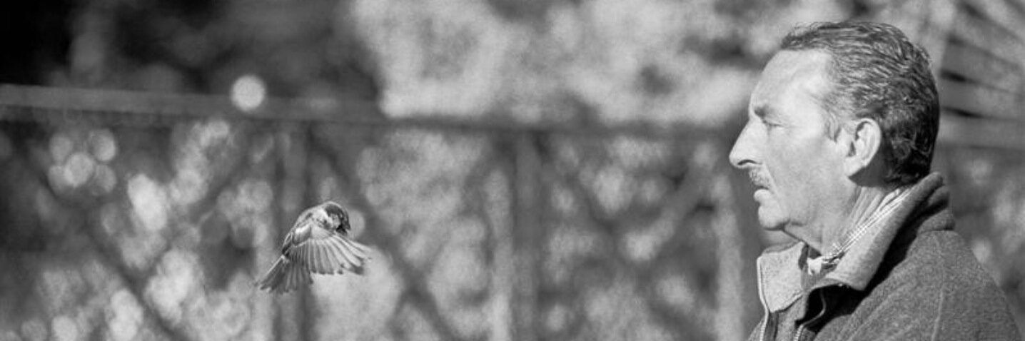 petervannes's profile banner image