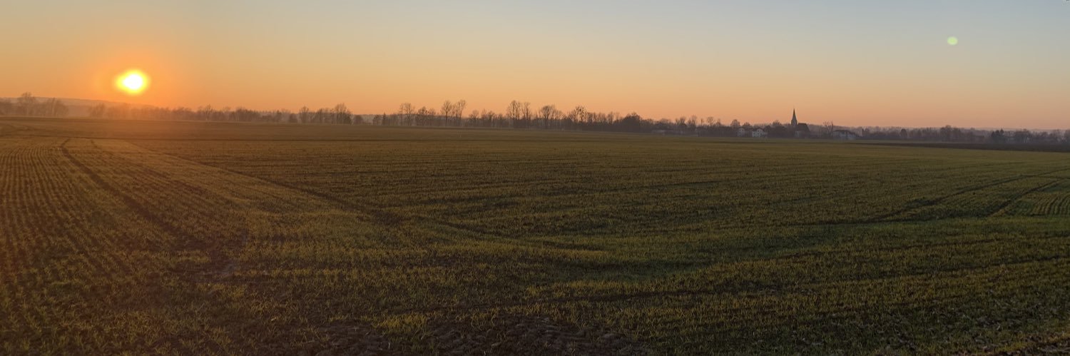 Thomas Streif banner