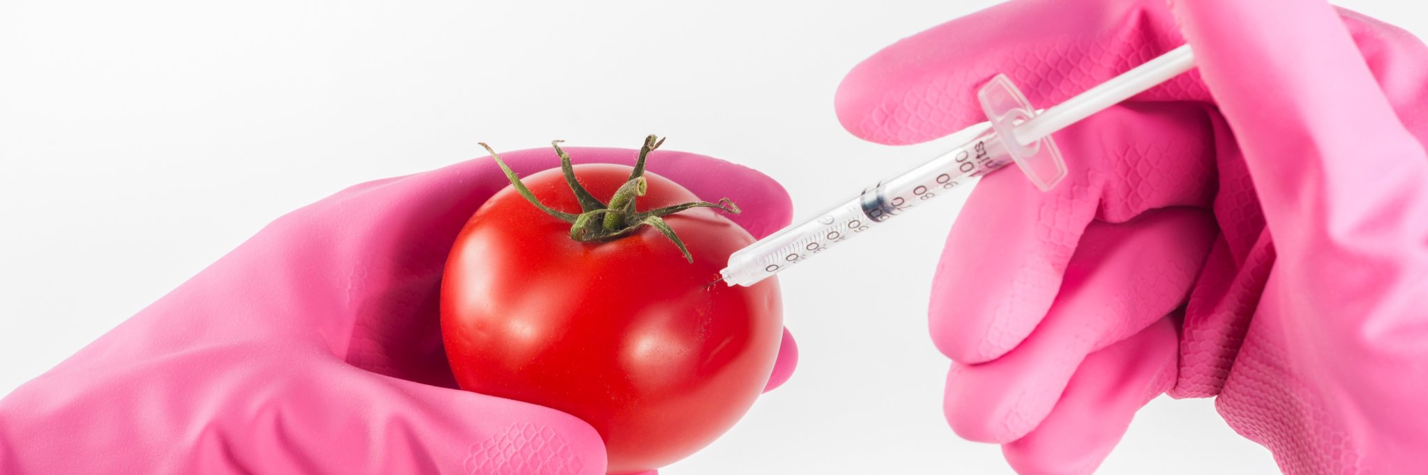 askfoodtech's profile banner image