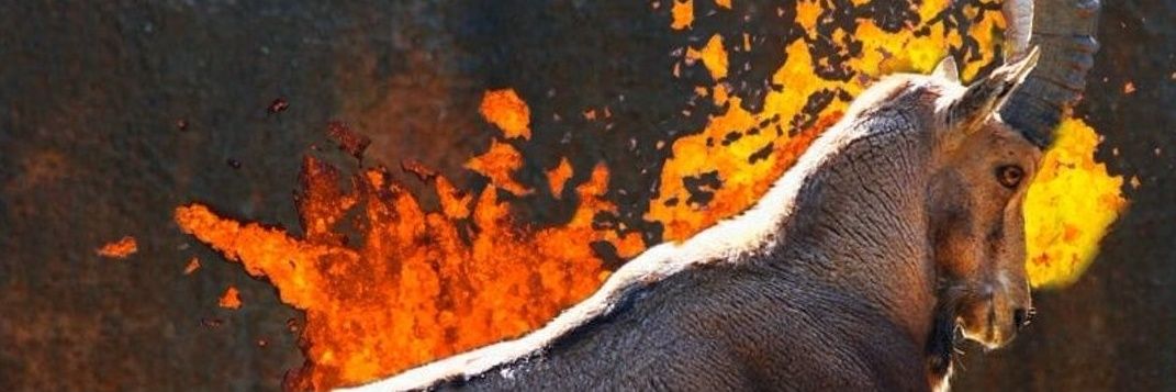 𝕽𝖆𝖒𝖚𝖑𝖚𝖘 banner